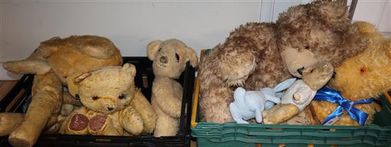 A quantity of mixed teddy bears